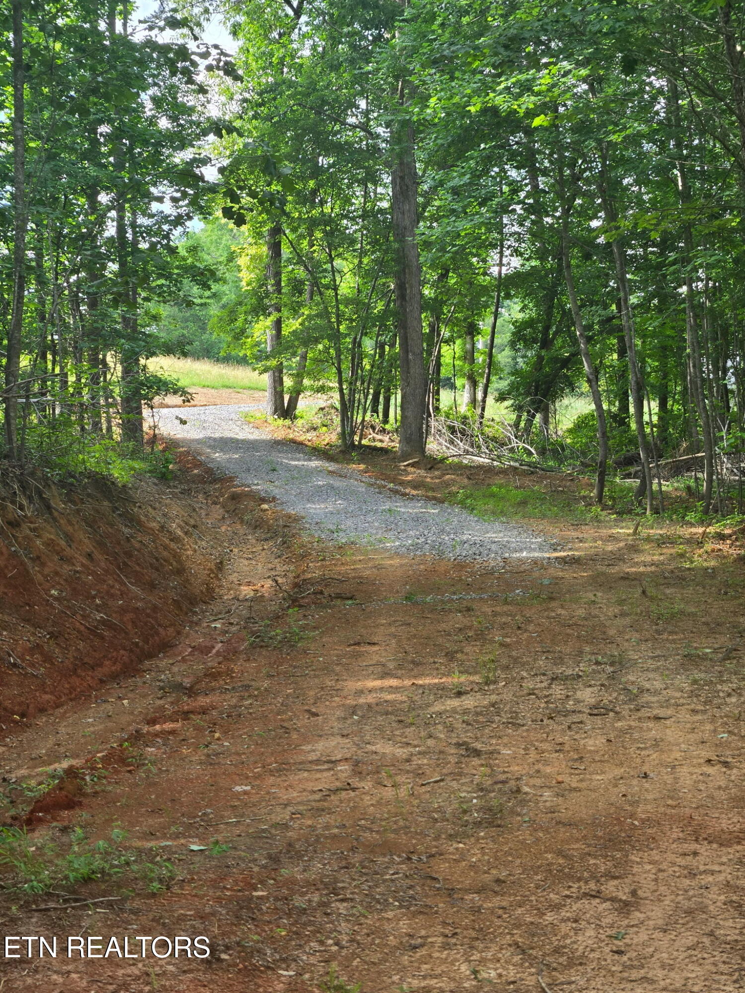 1460 Big Neck Road Grandview, TN 37337 - Photo 23 of 32 Driveway