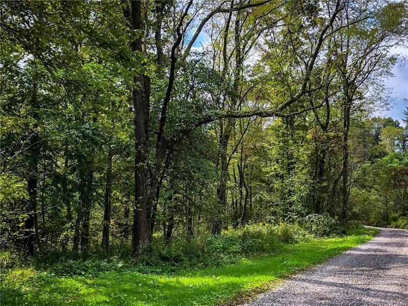 Lot 10 Goldscheitter Road Sarver, PA 16055 - Photo 1 of 16
