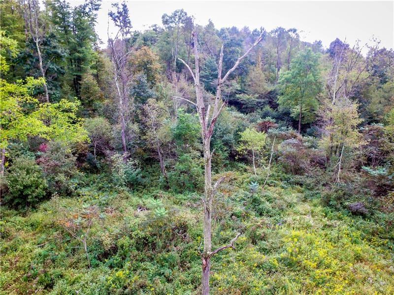 Lot 10 Goldscheitter Road Sarver, PA 16055 - Photo 11 of 16