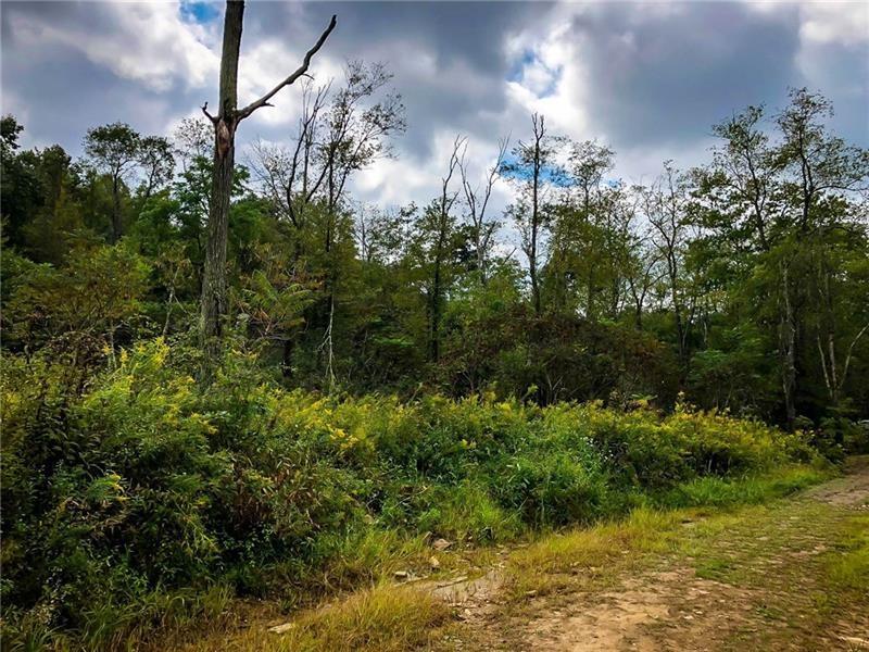 Lot 10 Goldscheitter Road Sarver, PA 16055 - Photo 15 of 16