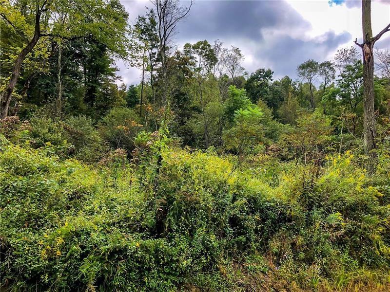 Lot 10 Goldscheitter Road Sarver, PA 16055 - Photo 16 of 16