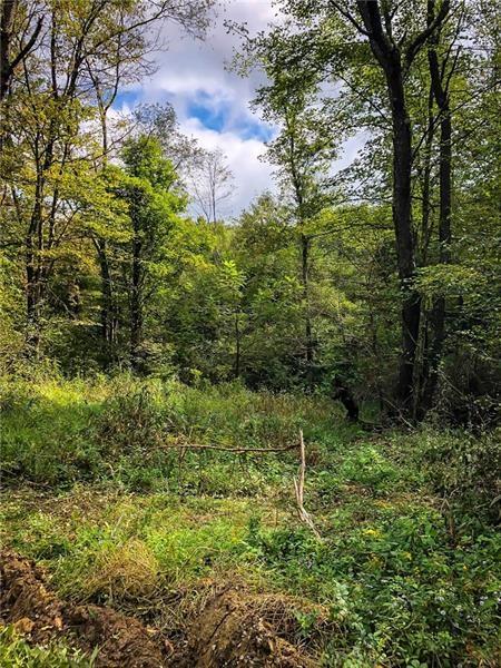 Lot 10 Goldscheitter Road Sarver, PA 16055 - Photo 3 of 16