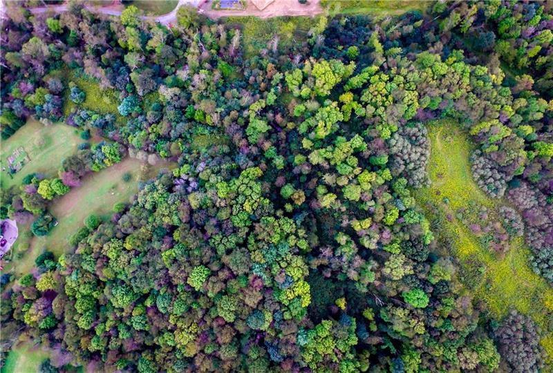 Lot 10 Goldscheitter Road Sarver, PA 16055 - Photo 8 of 16
