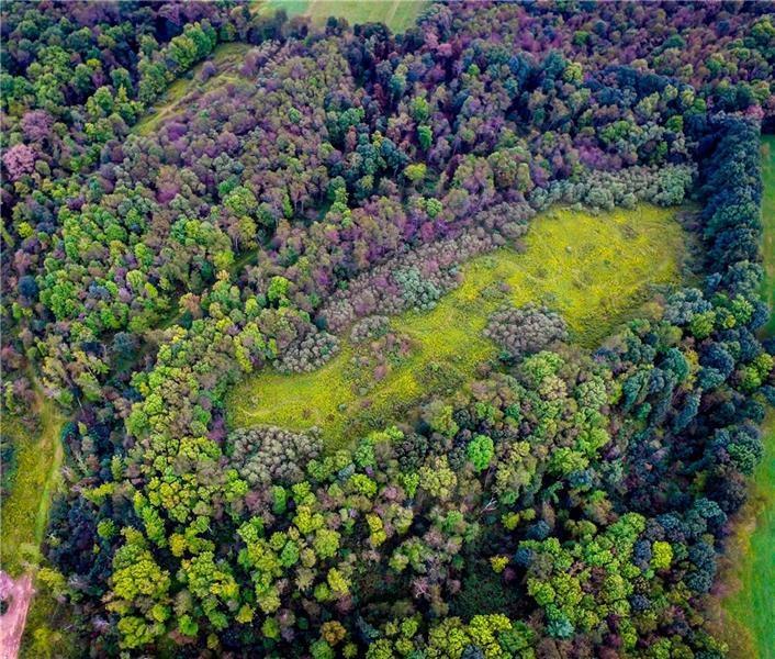 Lot 10 Goldscheitter Road Sarver, PA 16055 - Photo 9 of 16