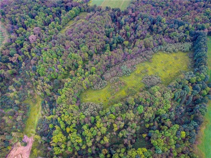 Lot 10 Goldscheitter Road Sarver, PA 16055 - Photo 10 of 16