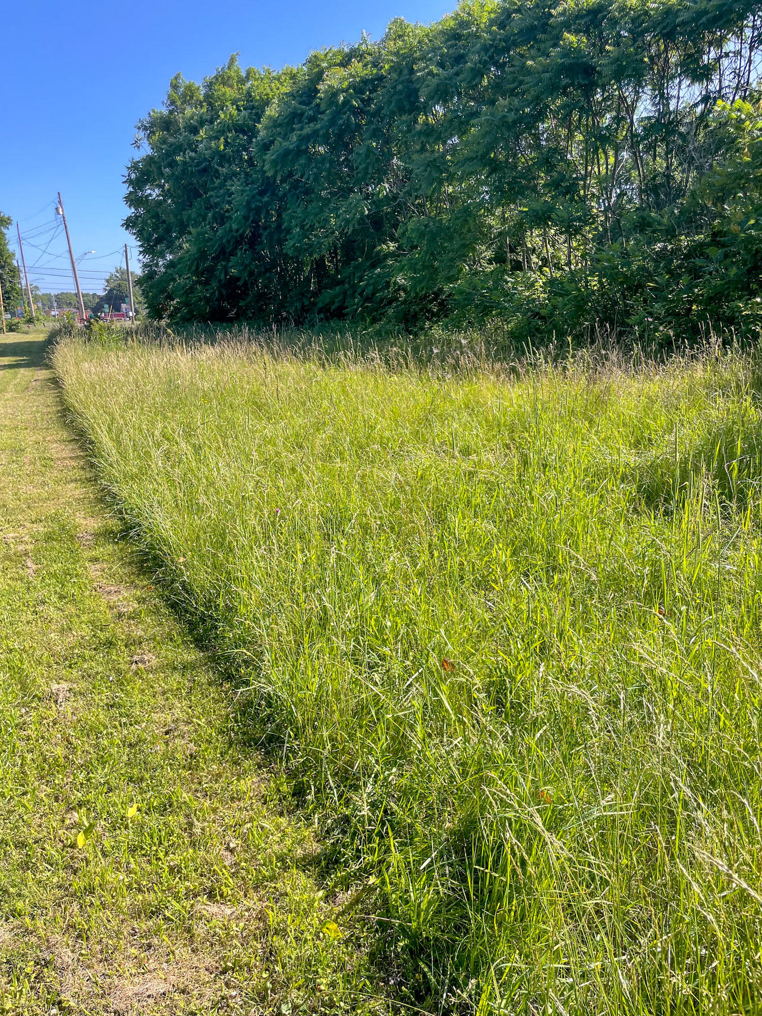 992 Highland Avenue Benton Harbor, MI 49022 - Photo 3 of 5 Looking north