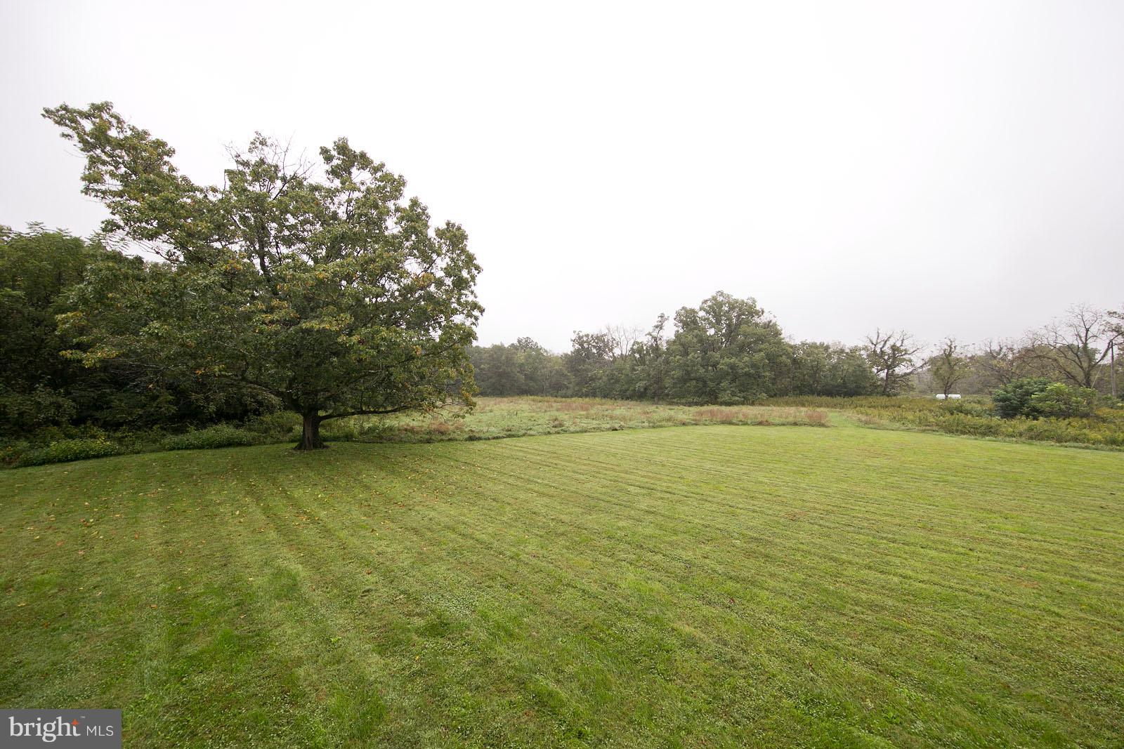 2101 Gun Barrel Road White Post, VA 22663 - Photo 10 of 74 Gallery Image 10