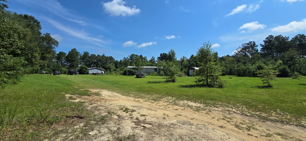 4739 Wallace Buie Road Columbia, AL 36319 - Photo 27 of 54