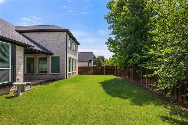 a view of a backyard with a plants and a large tree