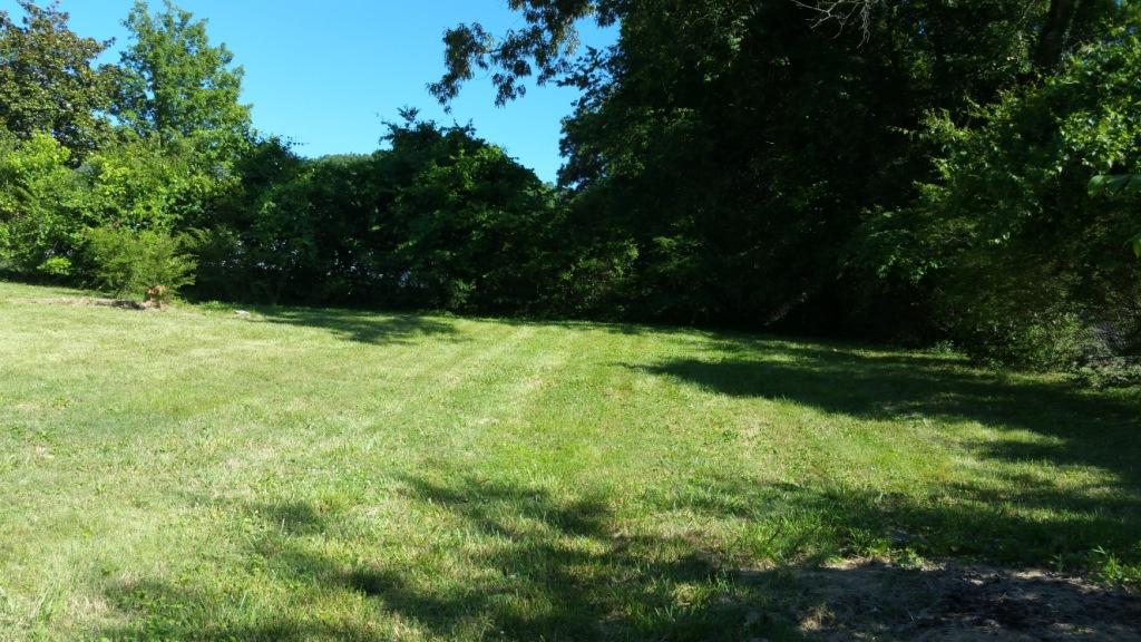 116 Shipe Road Powell, TN 37849 - Photo 3 of 12 20160608_174555