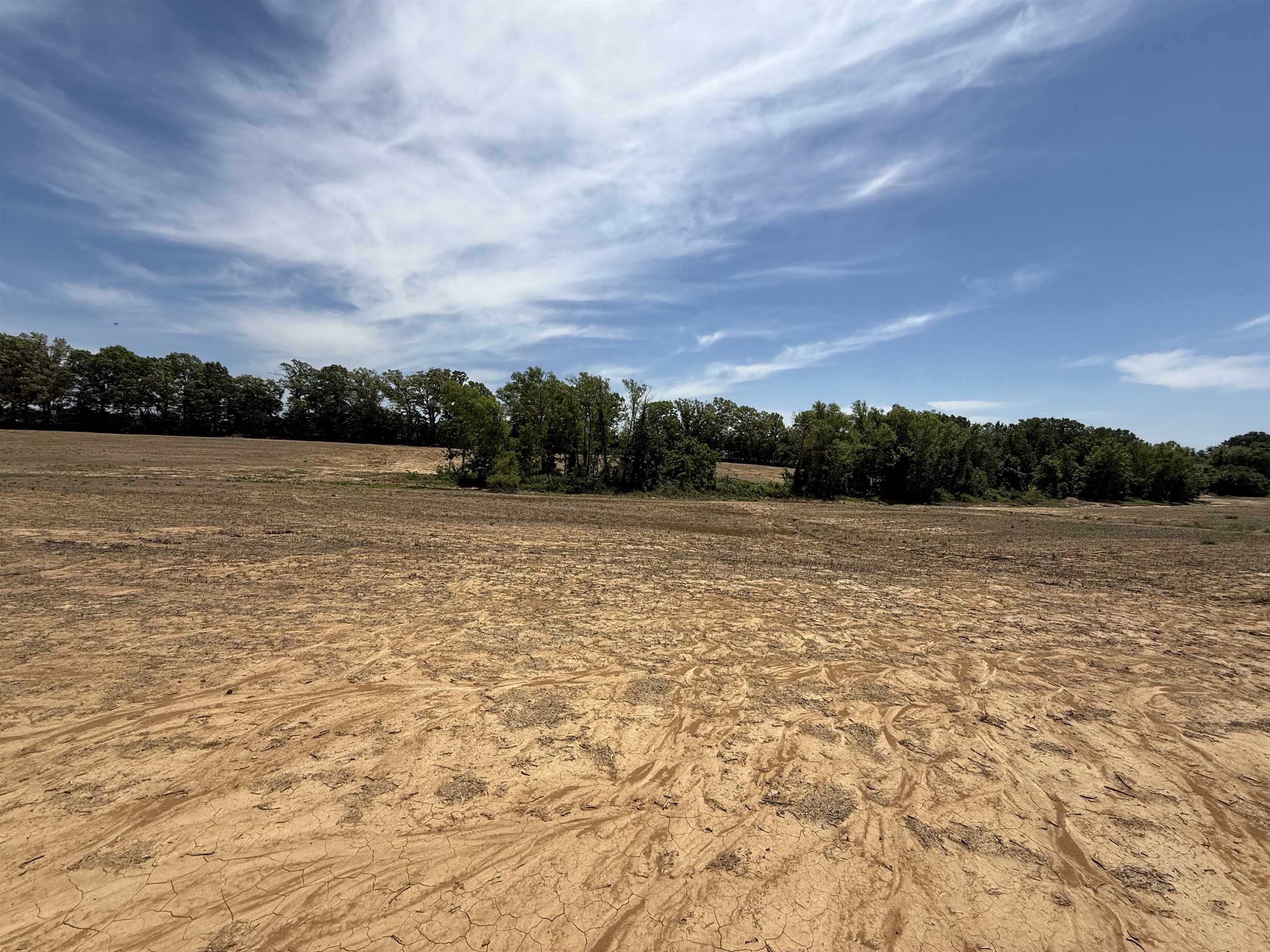 8324 Mudville Road Atoka, TN 38004 - Photo 7 of 8