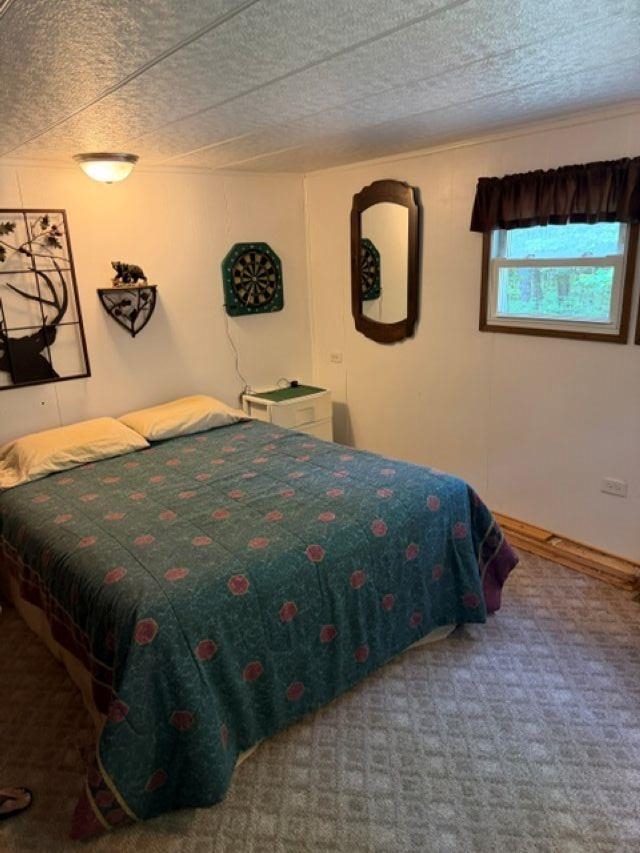 W8895 Co Road Stephenson, MI 49887 - Photo 9 of 31