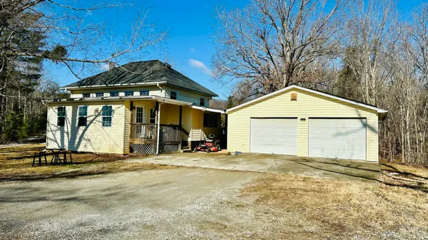 a view of living room with furniture and a potted plant