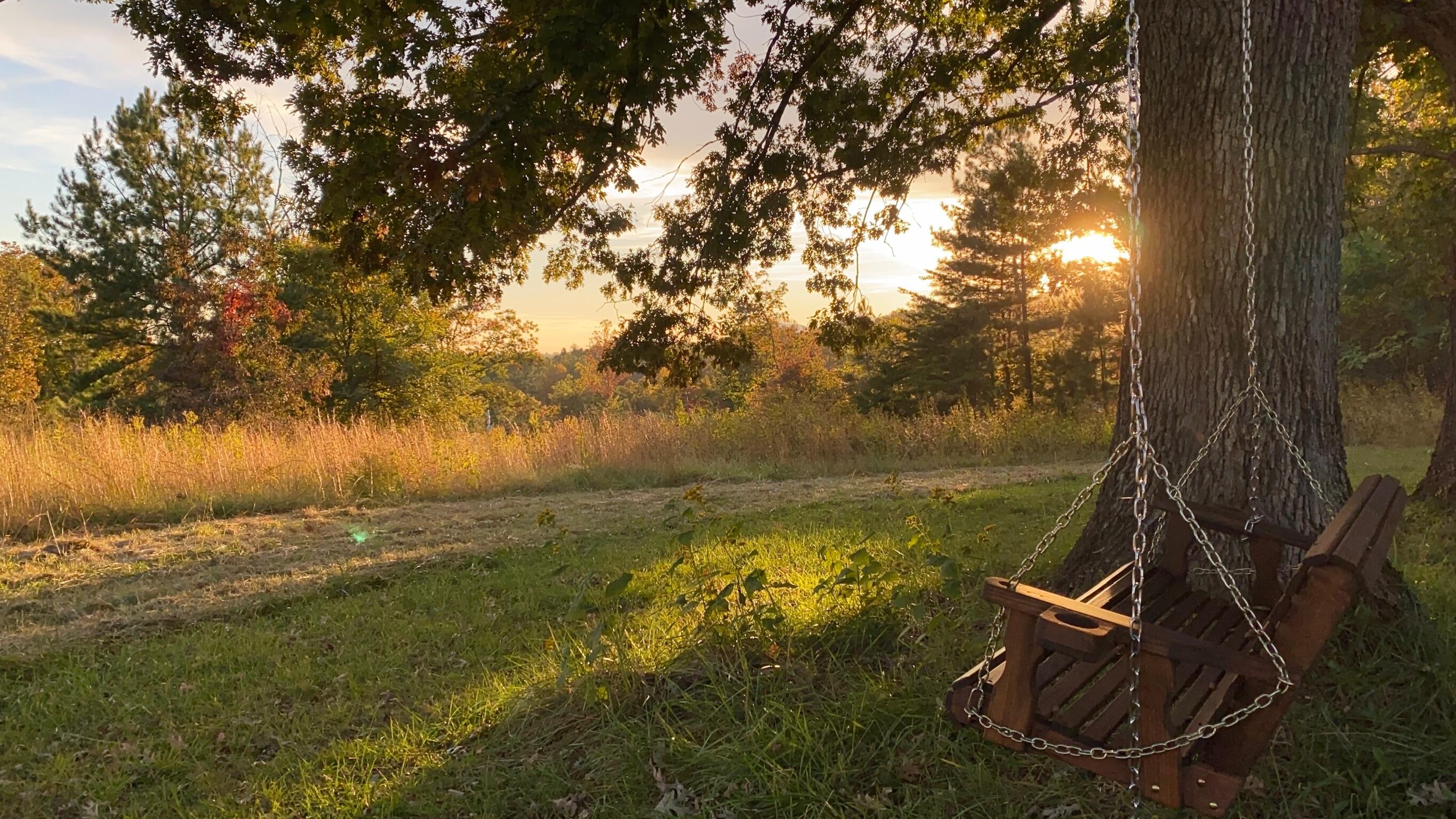5930 Edwardsville Road Hardy, VA 24101 - Photo 36 of 58 a view of a lake with a yard and large trees