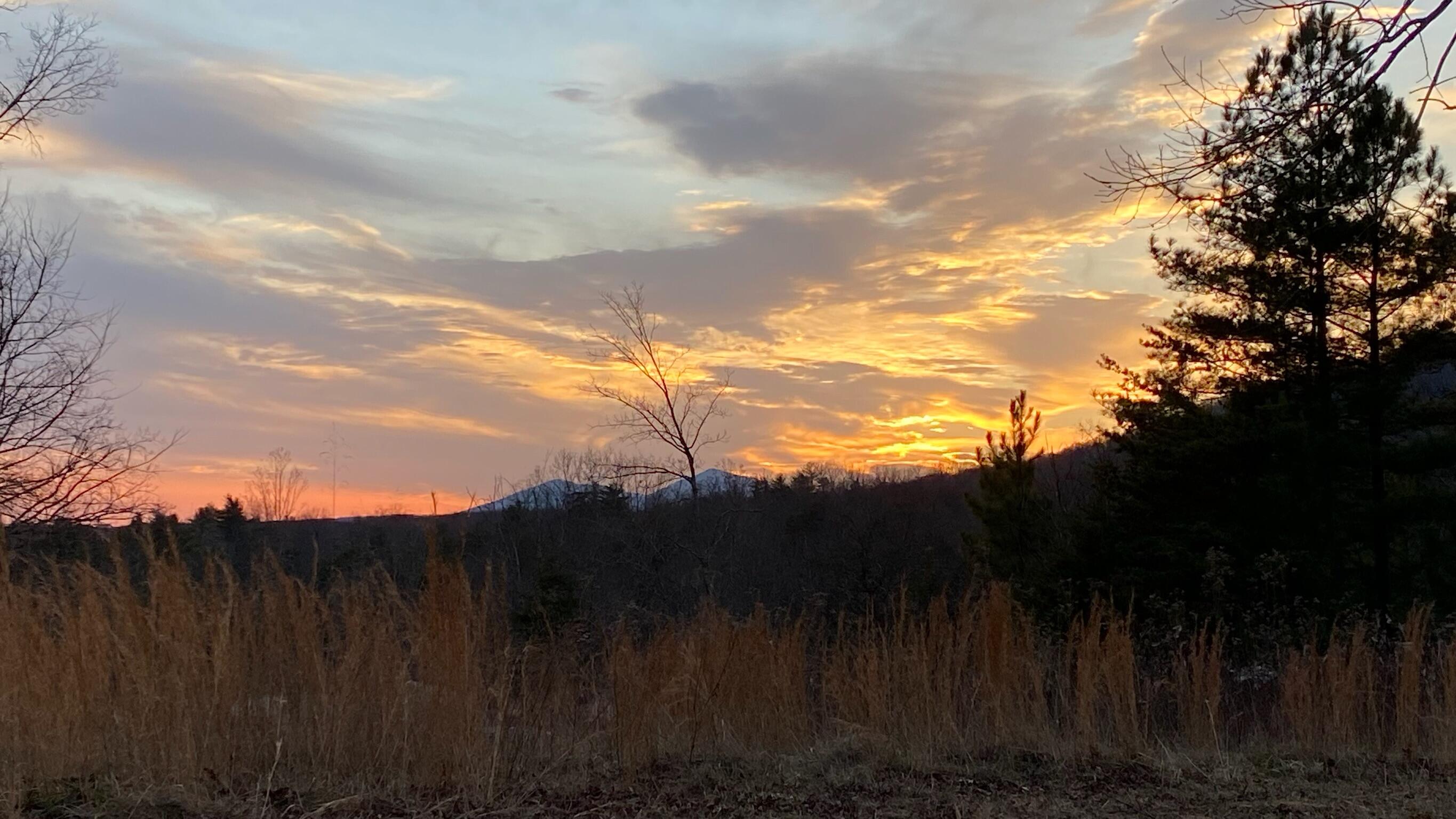 5930 Edwardsville Road Hardy, VA 24101 - Photo 37 of 58 a view of a yard