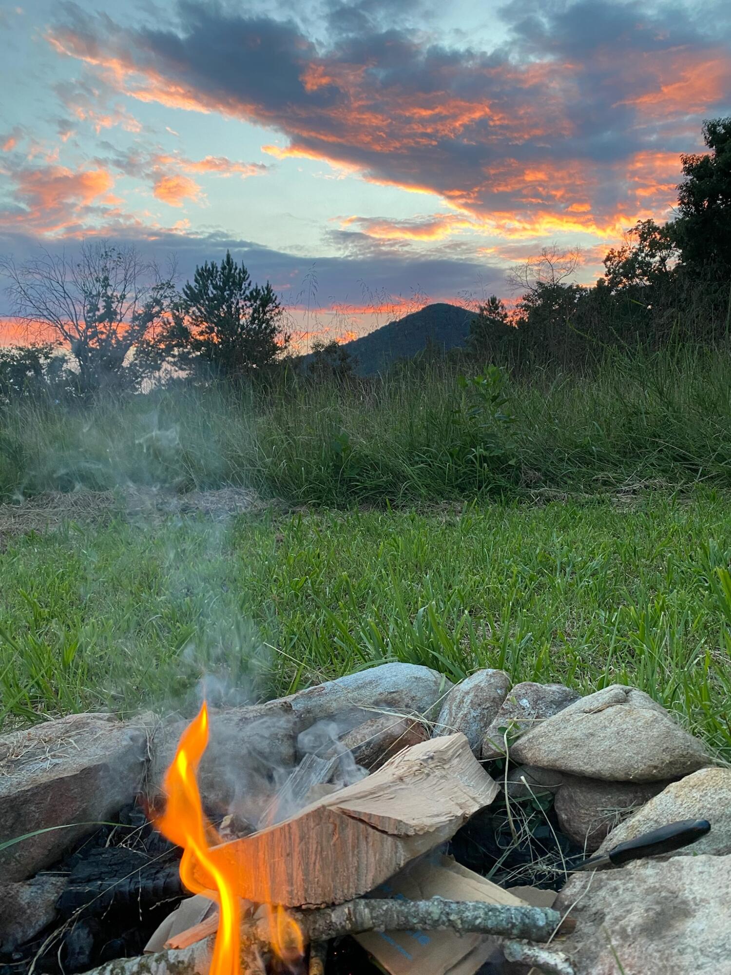 5930 Edwardsville Road Hardy, VA 24101 - Photo 48 of 58 a view of an outdoor space and yard