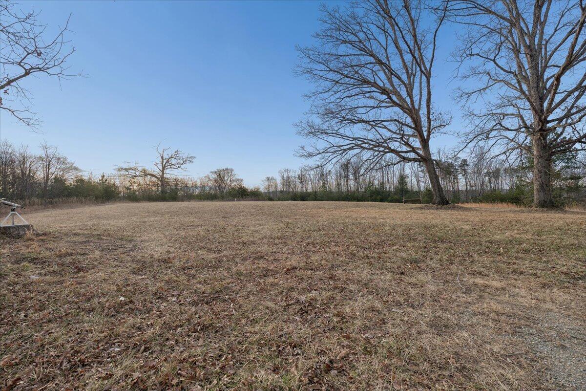 5930 Edwardsville Road Hardy, VA 24101 - Photo 55 of 63 a view of a yard with an trees
