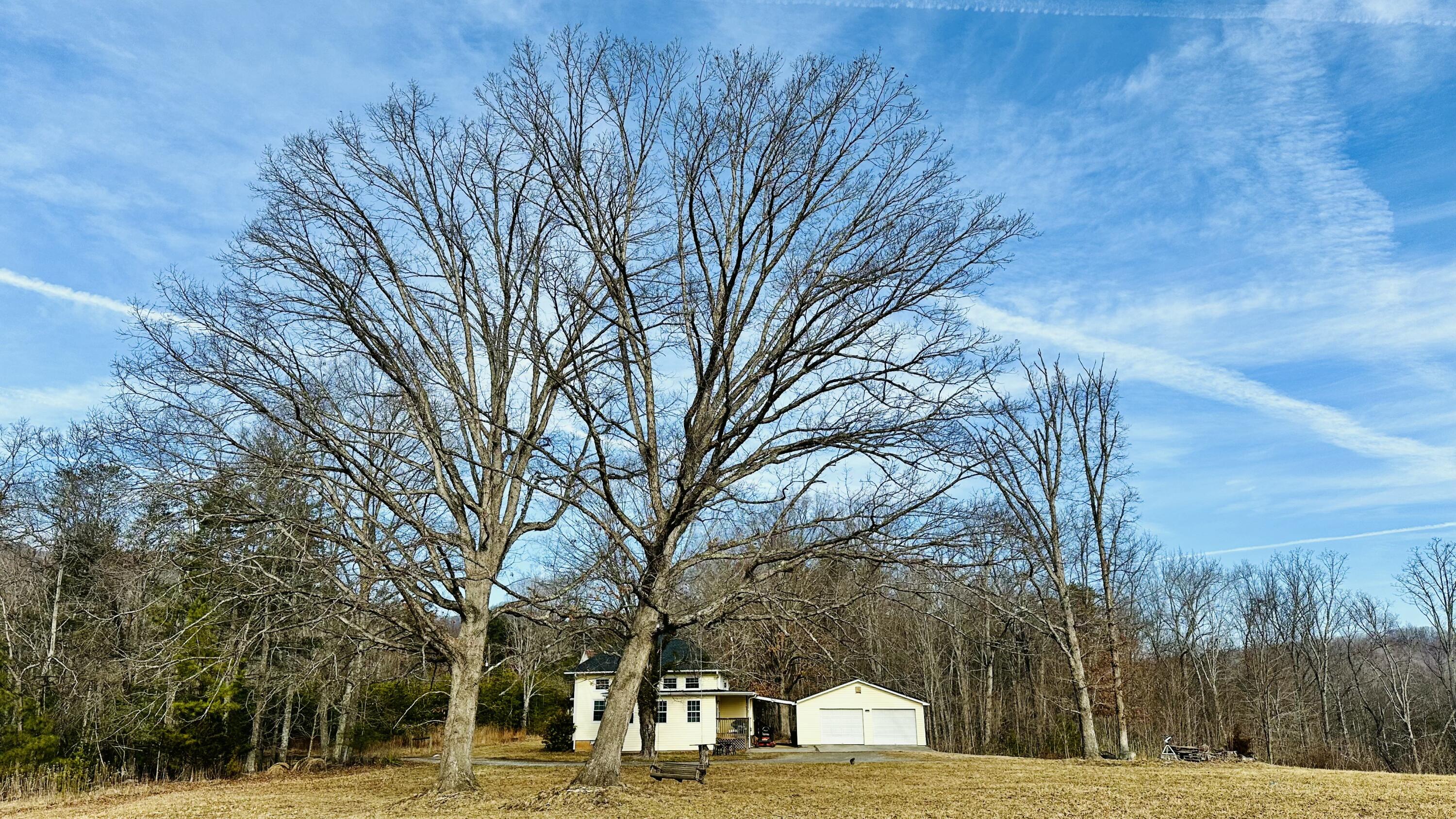 5930 Edwardsville Road Hardy, VA 24101 - Photo 62 of 63 a view of road with trees