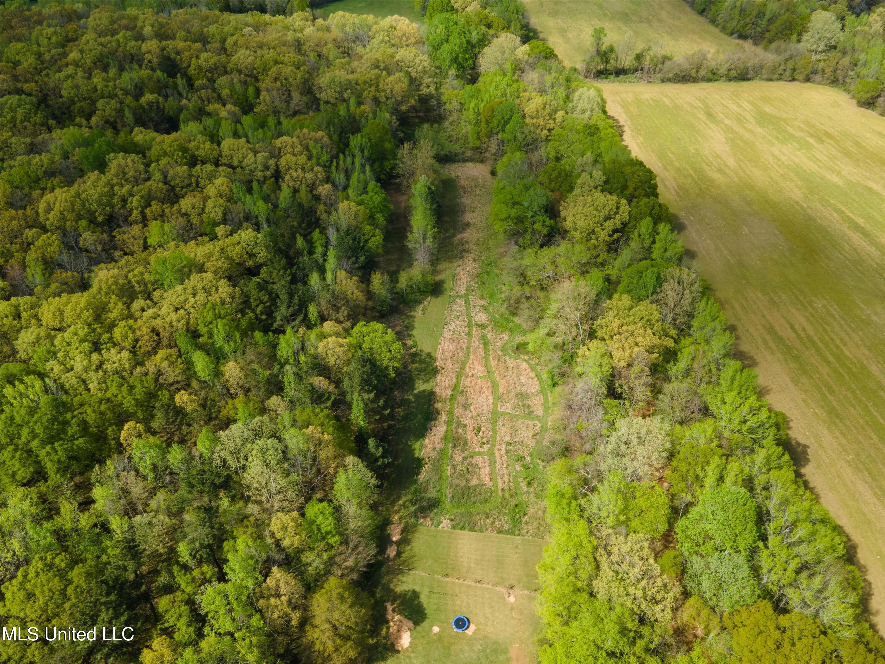 3474 Marianna Road Holly Springs, MS 38635 - Photo 42 of 50 48-DJI_0008