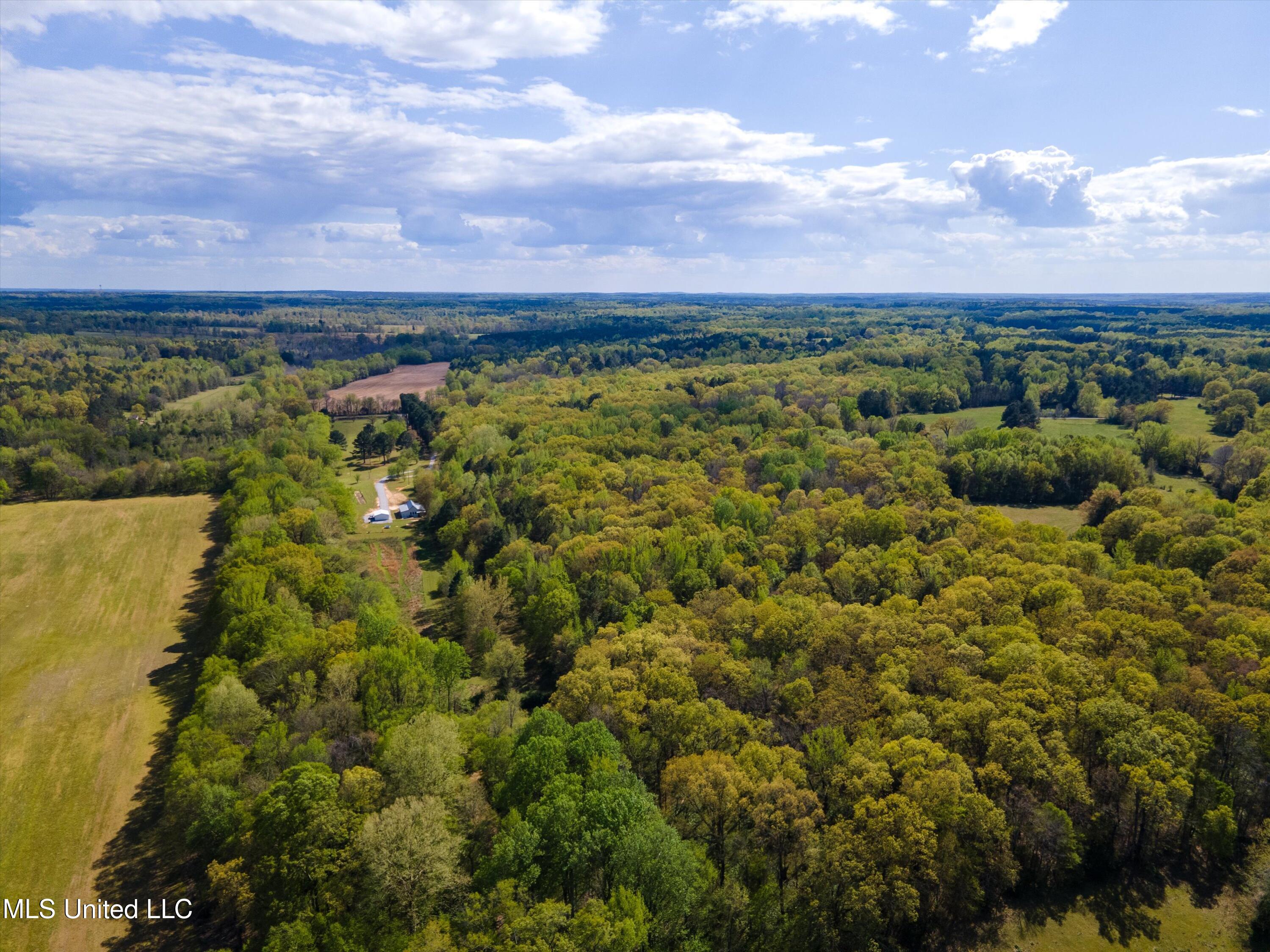 3474 Marianna Road Holly Springs, MS 38635 - Photo 43 of 50 50-DJI_0010