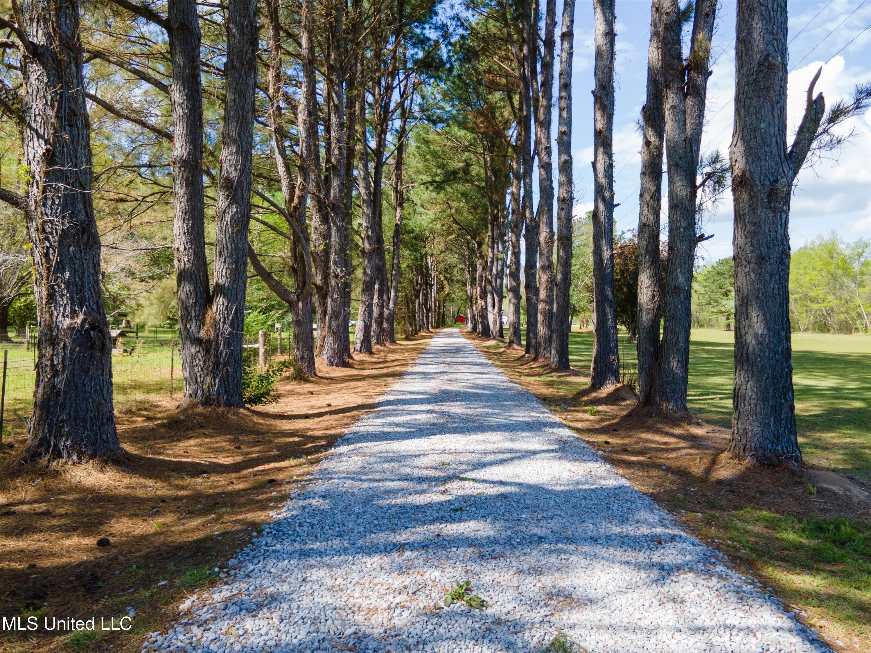 3474 Marianna Road Holly Springs, MS 38635 - Photo 50 of 50 52-DJI_0012
