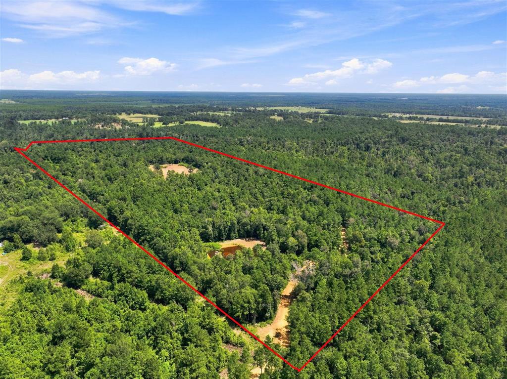 Bel Fire Tower Road Reeves, LA 70658 - Photo 12 of 16 Gallery Image 12