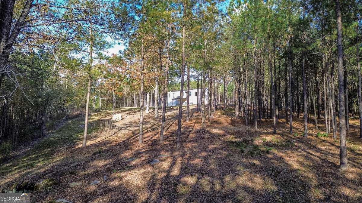60 Stephens Road Lexington, GA 30648 - Photo 50 of 60 a view of yard with trees