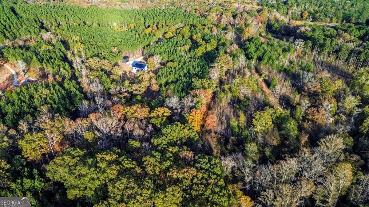 60 Stephens Road Lexington, GA 30648 - Photo 60 of 60 a view of a lush green forest