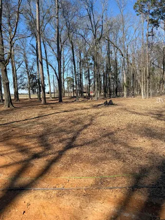 $224,900 | 6164 N Highway, Naples, TX 75568