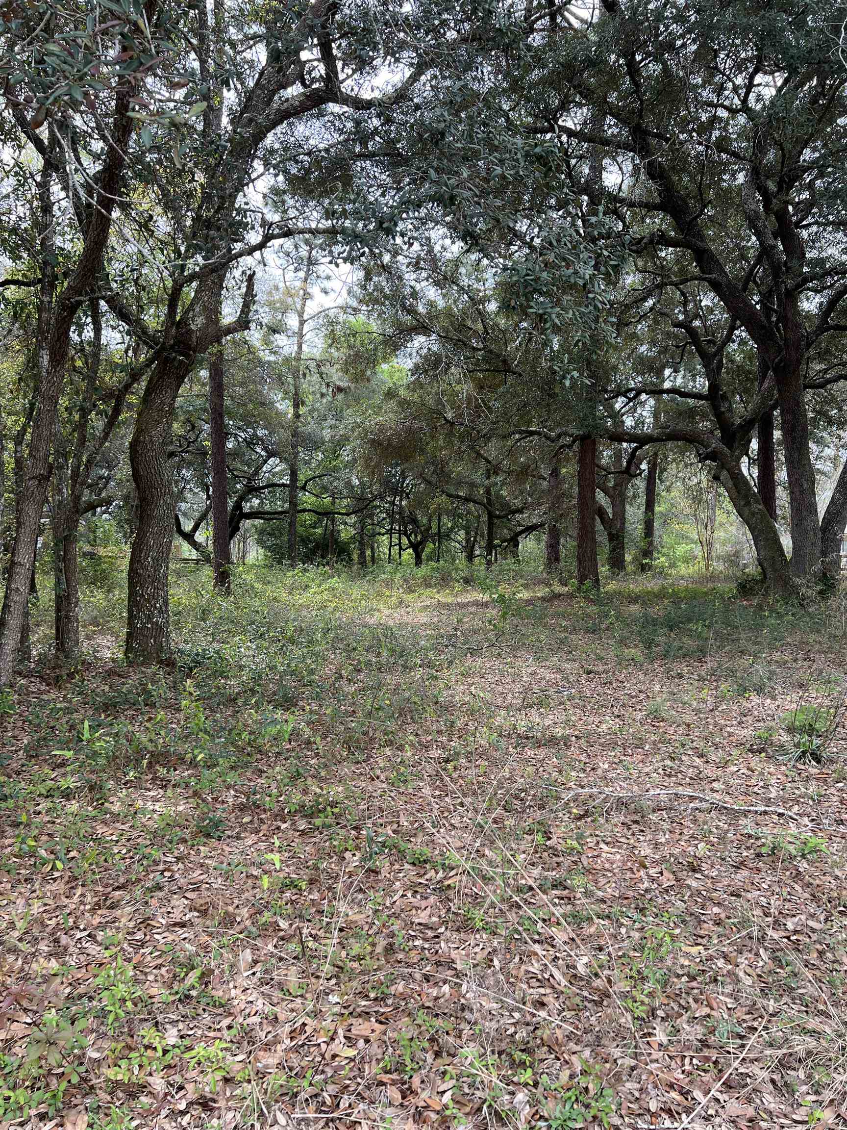 Lot #7 North Bayou Road Lillian, AL 36549 - Photo 4 of 7
