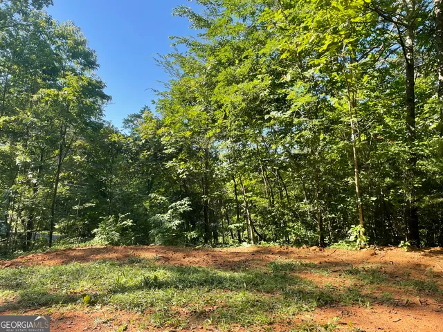 $42,000 | 0 Green Street, Clayton, GA 30525