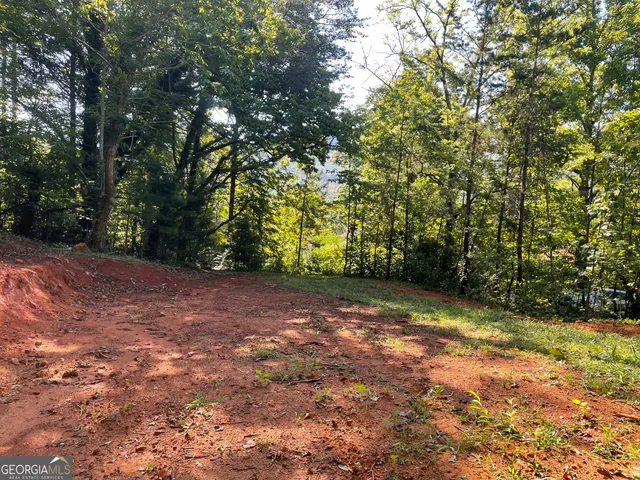 $42,000 | 0 Green Street, Clayton, GA 30525