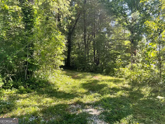 $42,000 | 0 Green Street, Clayton, GA 30525