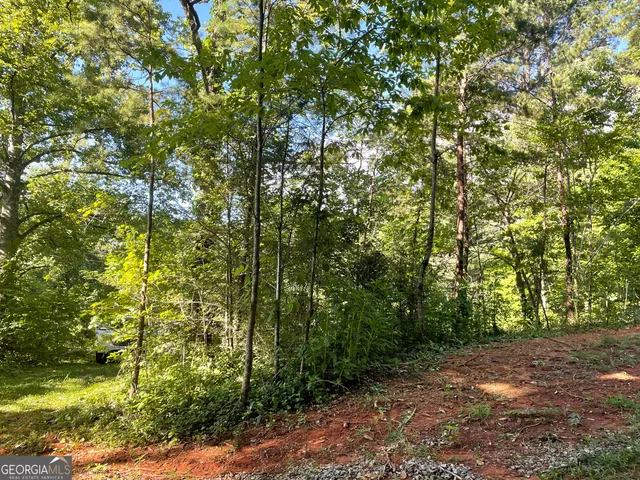 $42,000 | 0 Green Street, Clayton, GA 30525