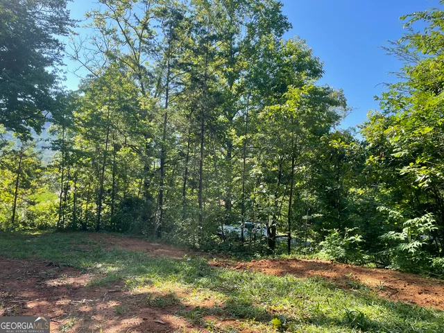 $42,000 | 0 Green Street, Clayton, GA 30525