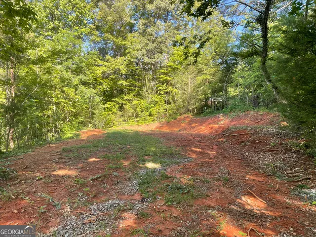 $42,000 | 0 Green Street, Clayton, GA 30525