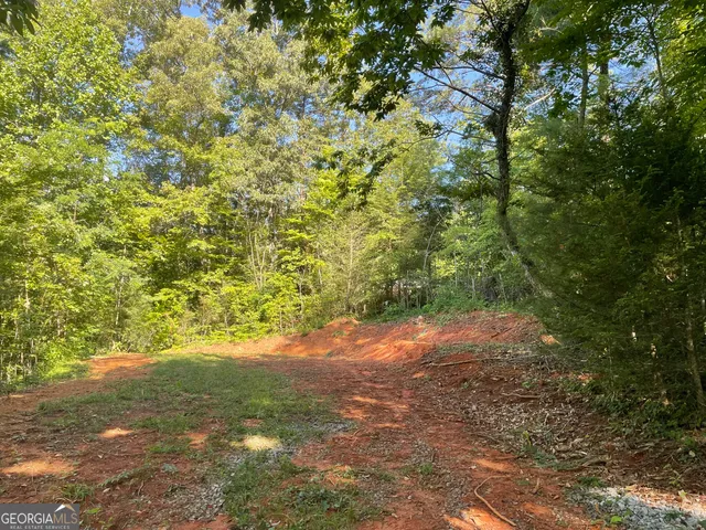 $42,000 | 0 Green Street, Clayton, GA 30525