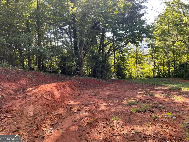 $42,000 | 0 Green Street, Clayton, GA 30525