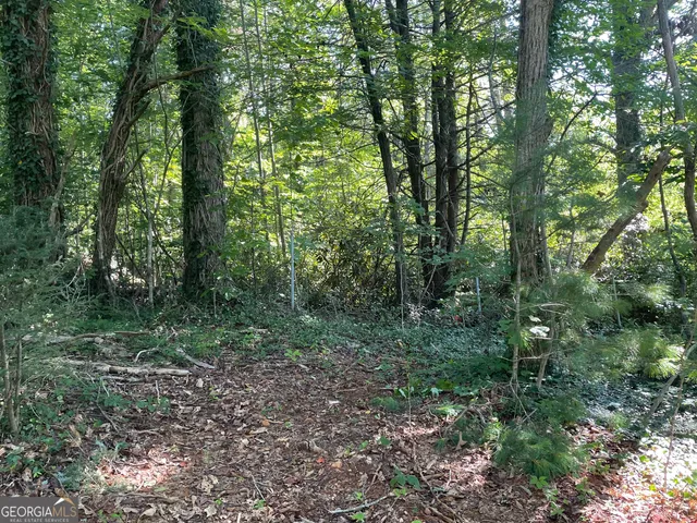 $42,000 | 0 Green Street, Clayton, GA 30525