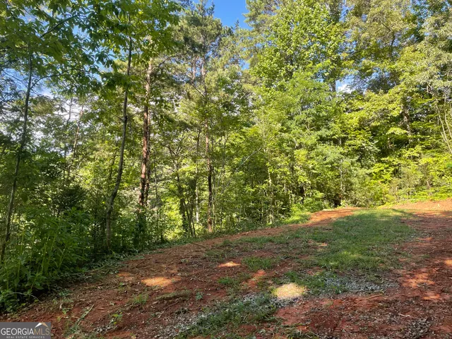 $42,000 | 0 Green Street, Clayton, GA 30525