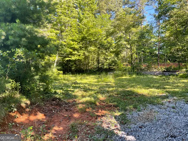 $42,000 | 0 Green Street, Clayton, GA 30525