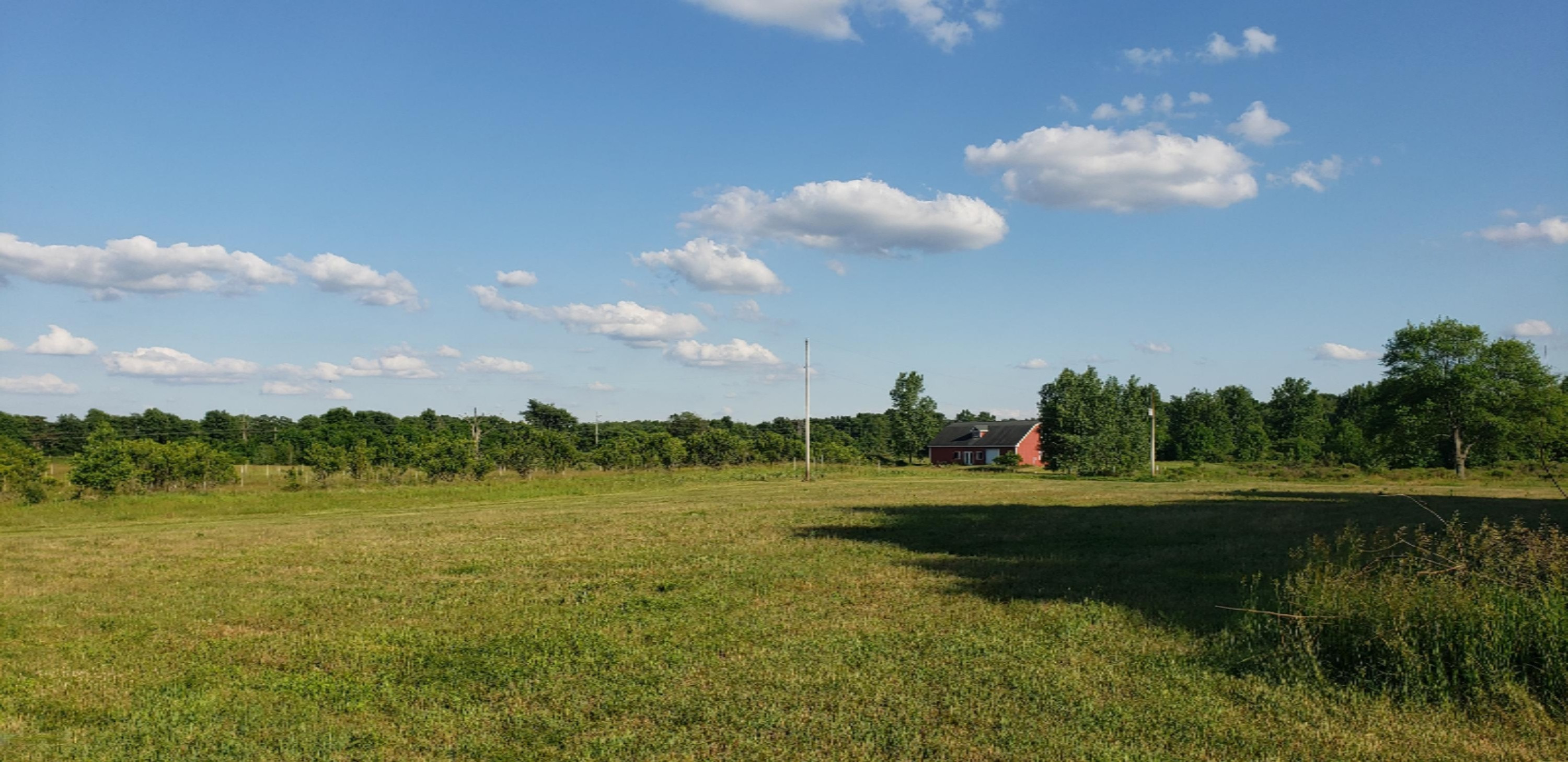 10799 West Chicago Road Allen, MI 49227 - Photo 4 of 28 20200615_184406