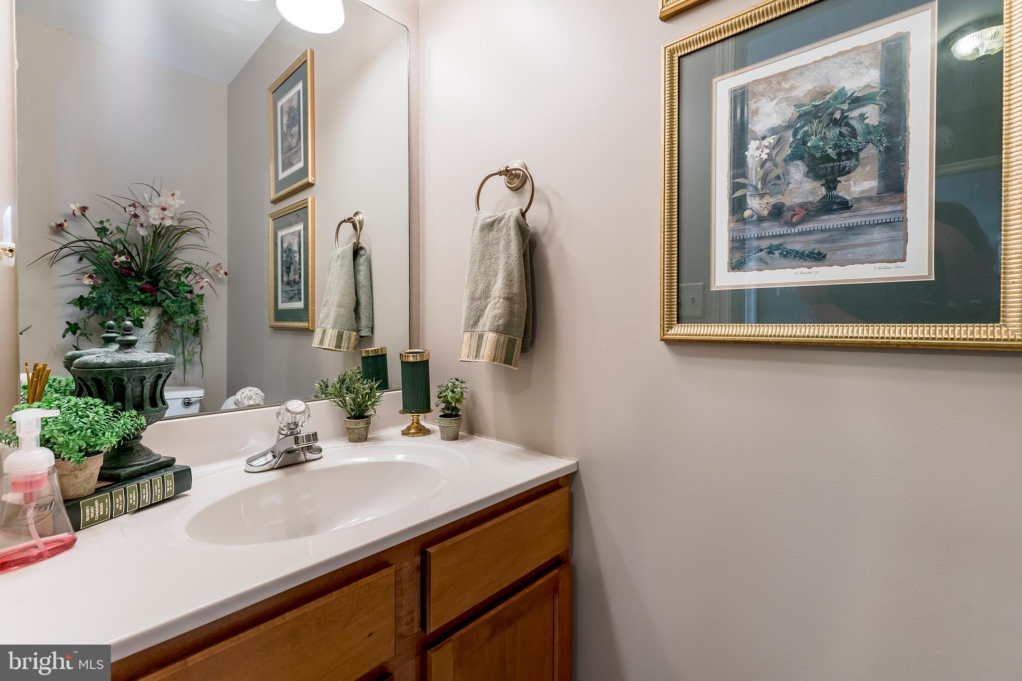 312 Royal Hunt Way Lititz, PA 17543 - Photo 12 of 27 1st Floor Powder Room