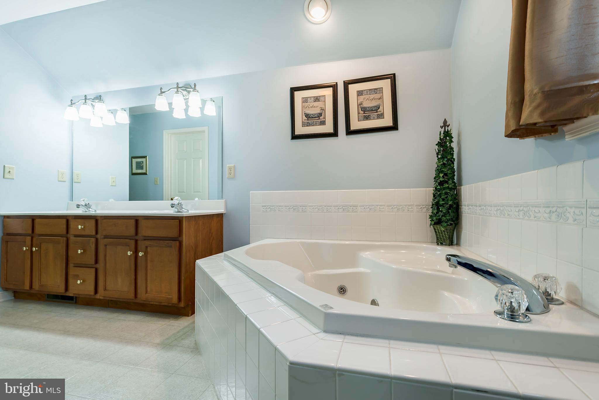312 Royal Hunt Way Lititz, PA 17543 - Photo 16 of 27 Jacuzzi Tub