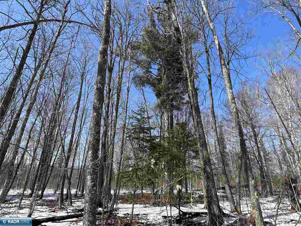 Lot 4 Rippling Oak Ridge River Pengilly, MN 55775 - Photo 7 of 8