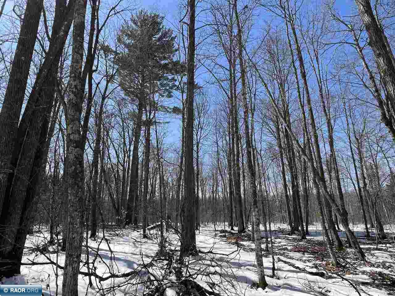 Lot 4 Rippling Oak Ridge River Pengilly, MN 55775 - Photo 8 of 8