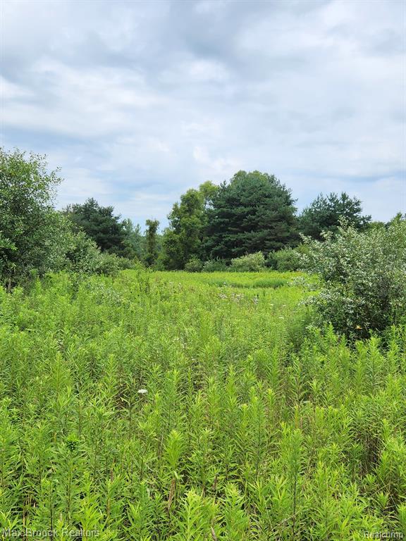 0 Hunters Creek Road Attica, MI 48412 - Photo 2 of 12