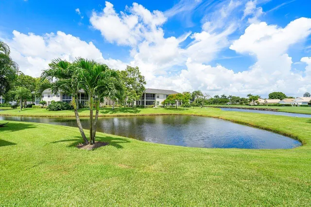 a view of a lake with a yard and large trees