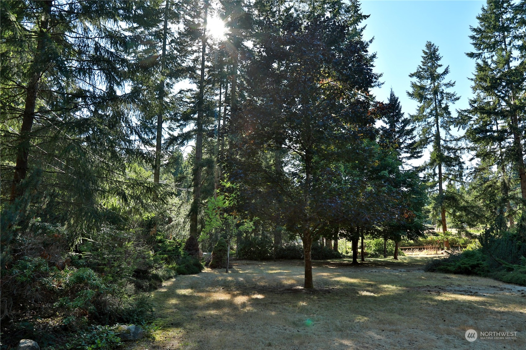 2811 East Andreason Road Langley, WA 98260 - Photo 3 of 38 a view of a tree in a park