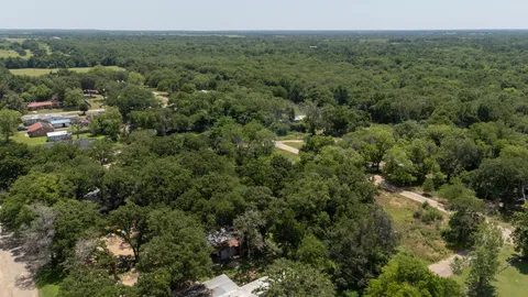 a view of a forest with a street